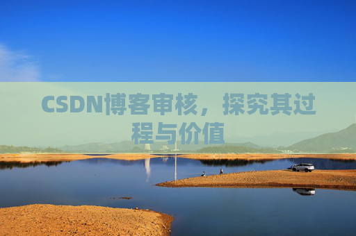 CSDN博客审核,探究其过程与价值
